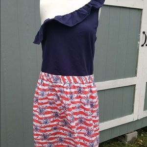 ISO L or XL Lilly Pulitzer Firecracker dress